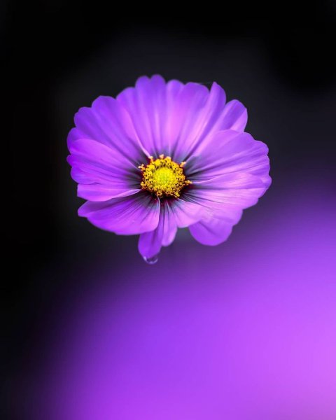 Осадки в виде счастья