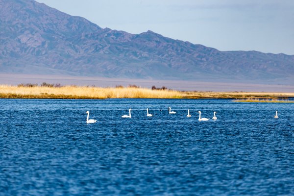 Алаколь озеро в Казахстане