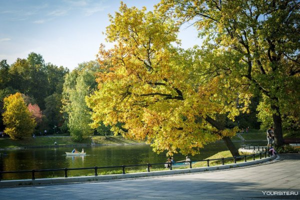 Парк в Москве