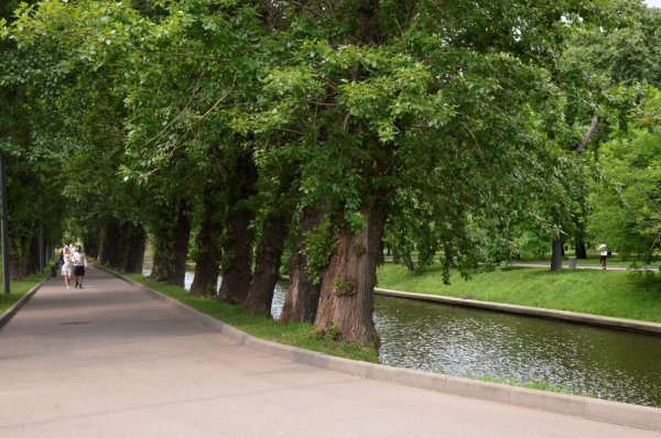 Парк красная Пресня 2020