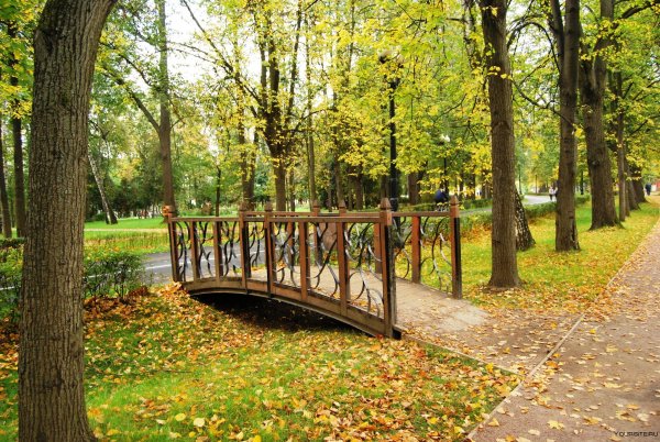 Измайловский парк скамейки