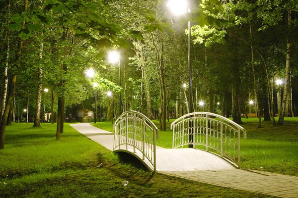 Московский Лианозовский парк