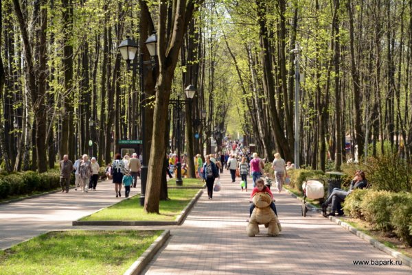 Бабушкинский парк 2022 парк