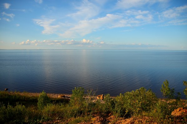 Озеро Ильмень Новгородская