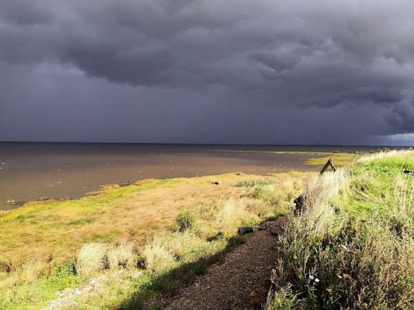 Озеро Ильмень Новгородская область