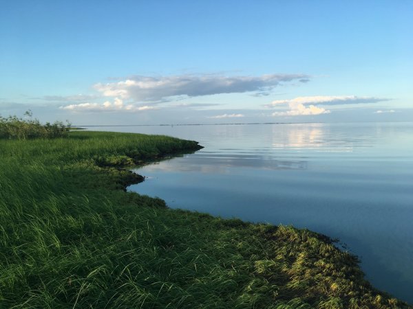 Озеро Ильмень Великий Новгород
