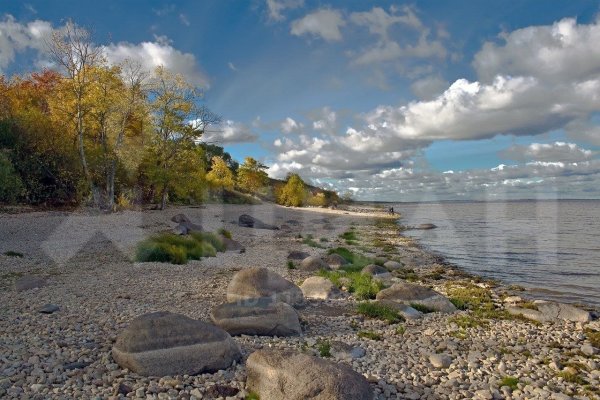 Озеро Ильмень Новгородская