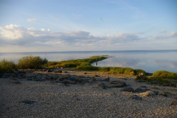 Берег озера Ильмень