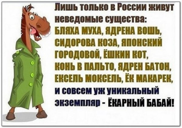 Стих про коня в пальто