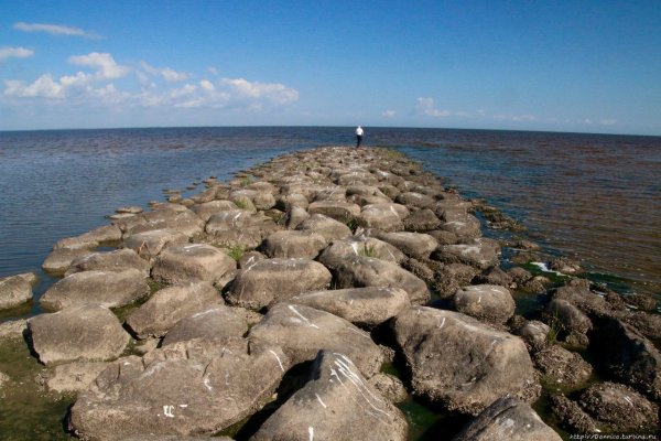 Озеро Ильмень Великий Новгород