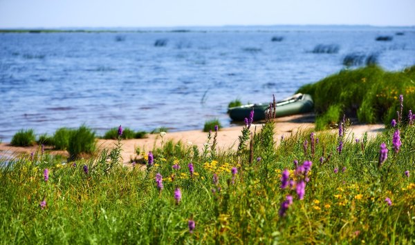 Озеро Ильмень Старая Русса