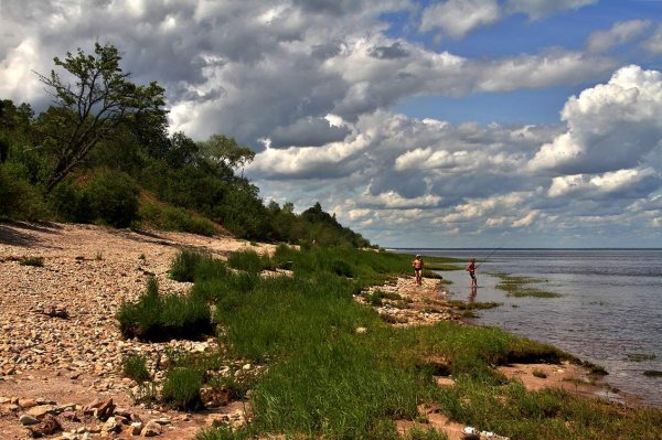 Ильмень Забурунный