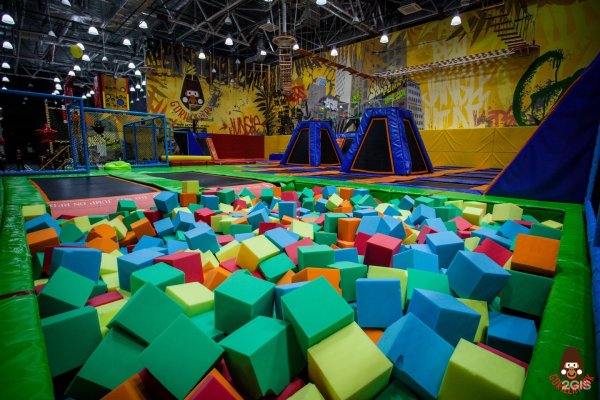 Горилла парк Санкт-Петербург