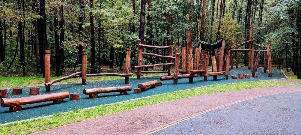 Прогулочная зона в лесопарке осень Рассказовка