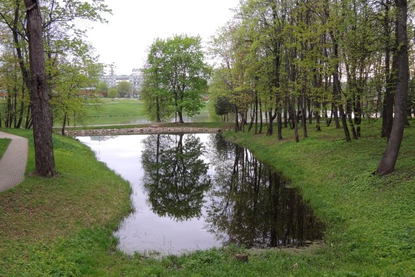 Парк Белкино Обнинск