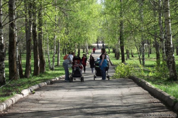 Соликамск парк в Боровске