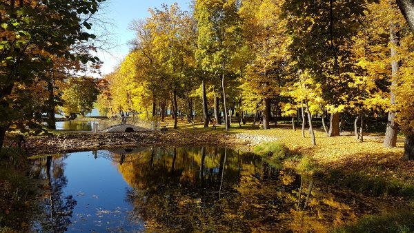 Парк Белкино Обнинск осень