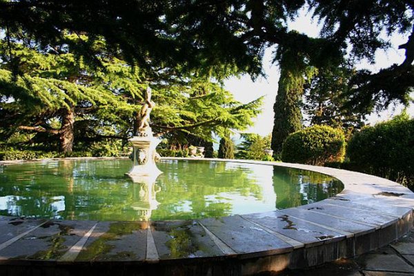 Форос парк Форосский парк деревья