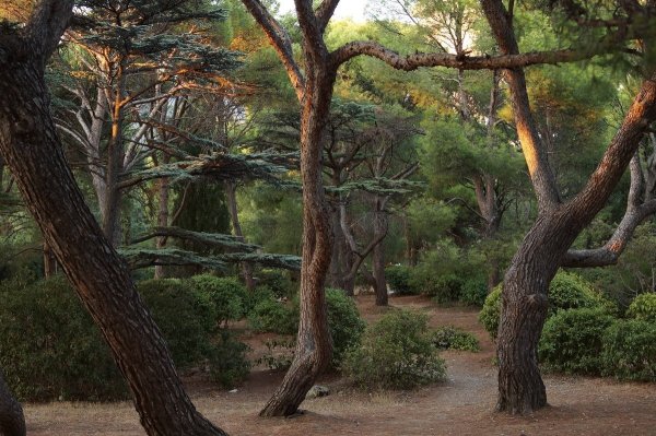 Форосский парк Райский уголок