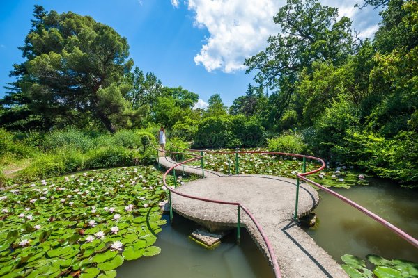 Форосский парк Райский уголок