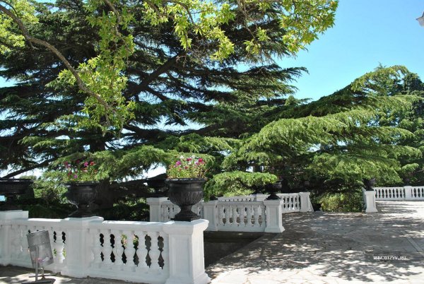 Кузнецов Форосский парк