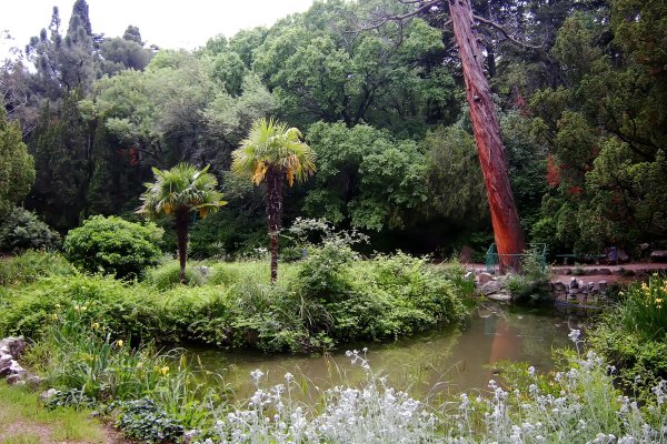 Форосский парк Крым