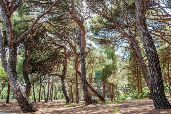 Форосский парк