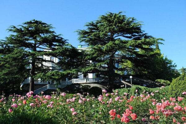 Форосский парк, Форос, Крым