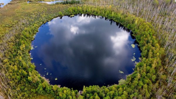 Озеро Бездонка Солнечногорск