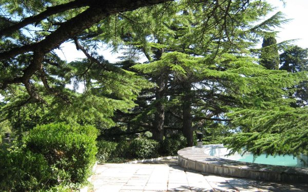 Таврический Форосский парк