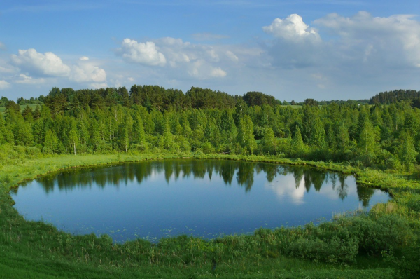 Брянский лес круглое озеро