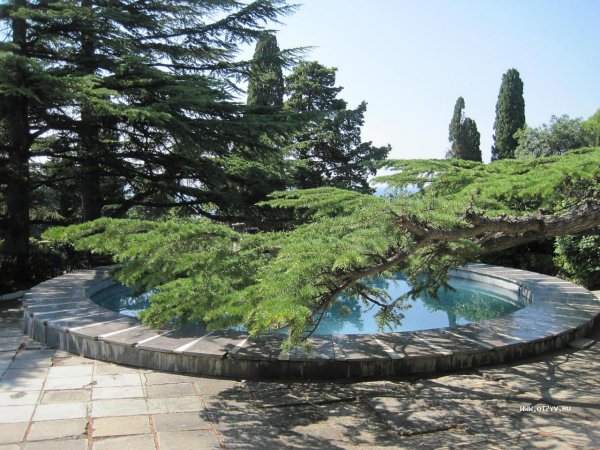 Форосский парк Райский уголок