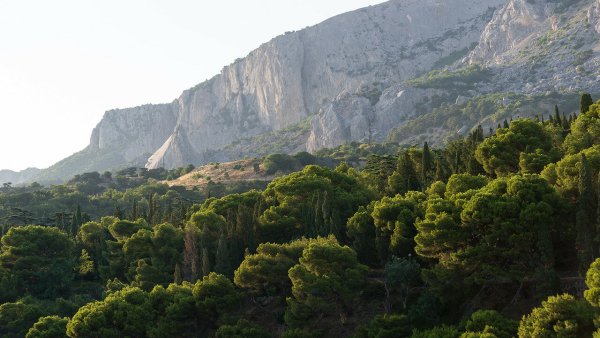 Форосский парк сверху