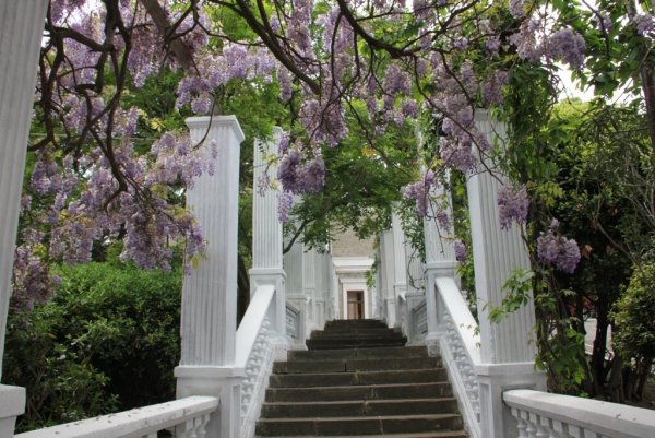 Форос Крым парк