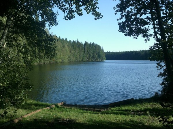 Озеро долгое Дмитровский район