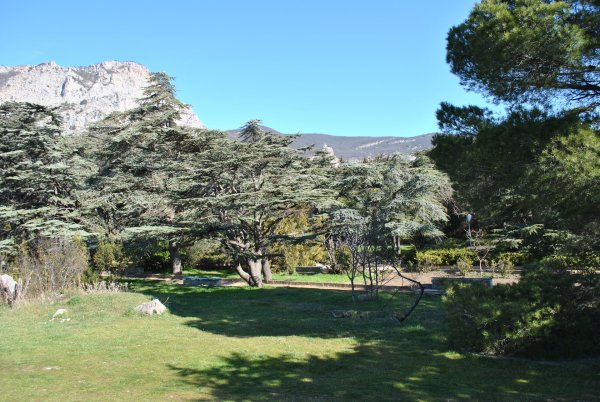 Крымчанин парк Форос