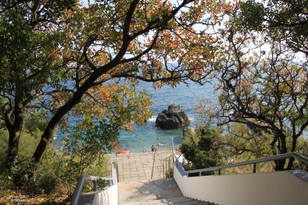 Форос центр