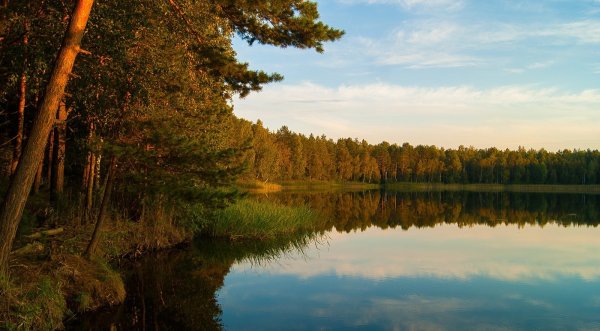 Озеро круглое Брянская область