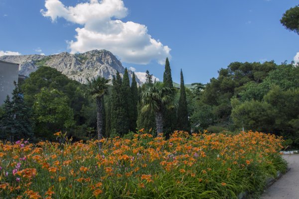 Форос парк город