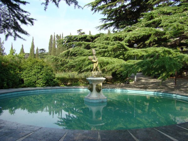 Ялта Форосский парк