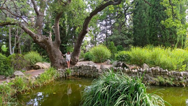 Форосский парк Севастополь