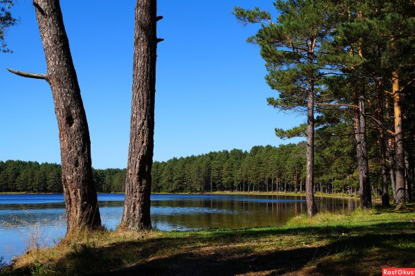 Круглое озеро поселок Самусь