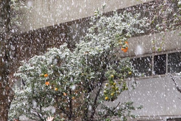 Снег в северных районах