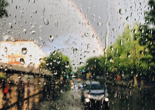 Биробиджан Весна