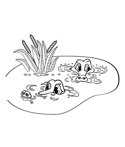 Озеро раскраска для детей