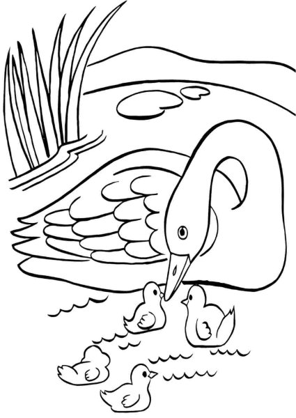 Озеро раскраска