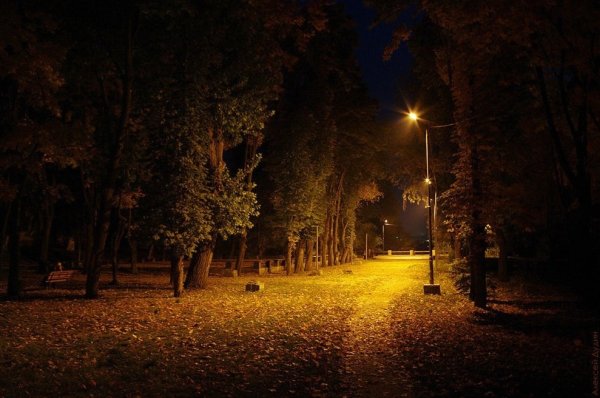 Воскресенск городской парк ночью