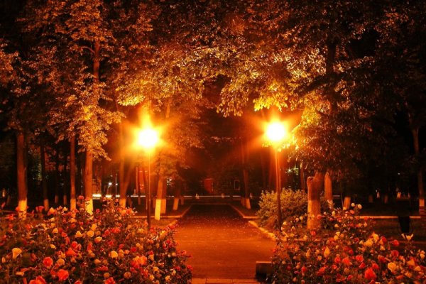 Ночной осенний парк