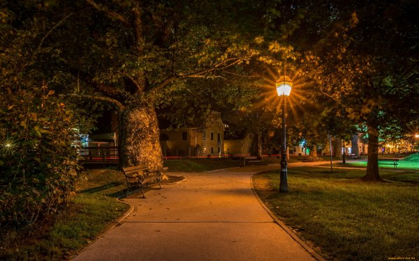 Городской парк ночью Жуковский