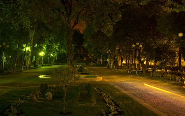 Аллея ночью